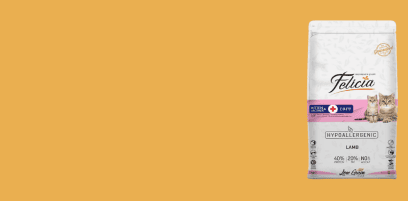 Kaçırılmayacak Fırsatlar