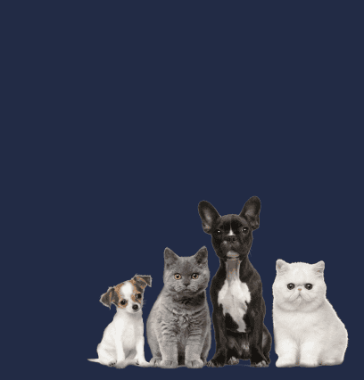 Yeni Ürünler Stokta