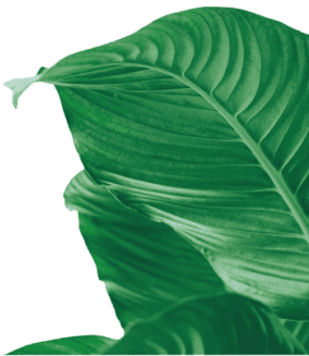 SEÇİLİ ÜRÜNLERDE